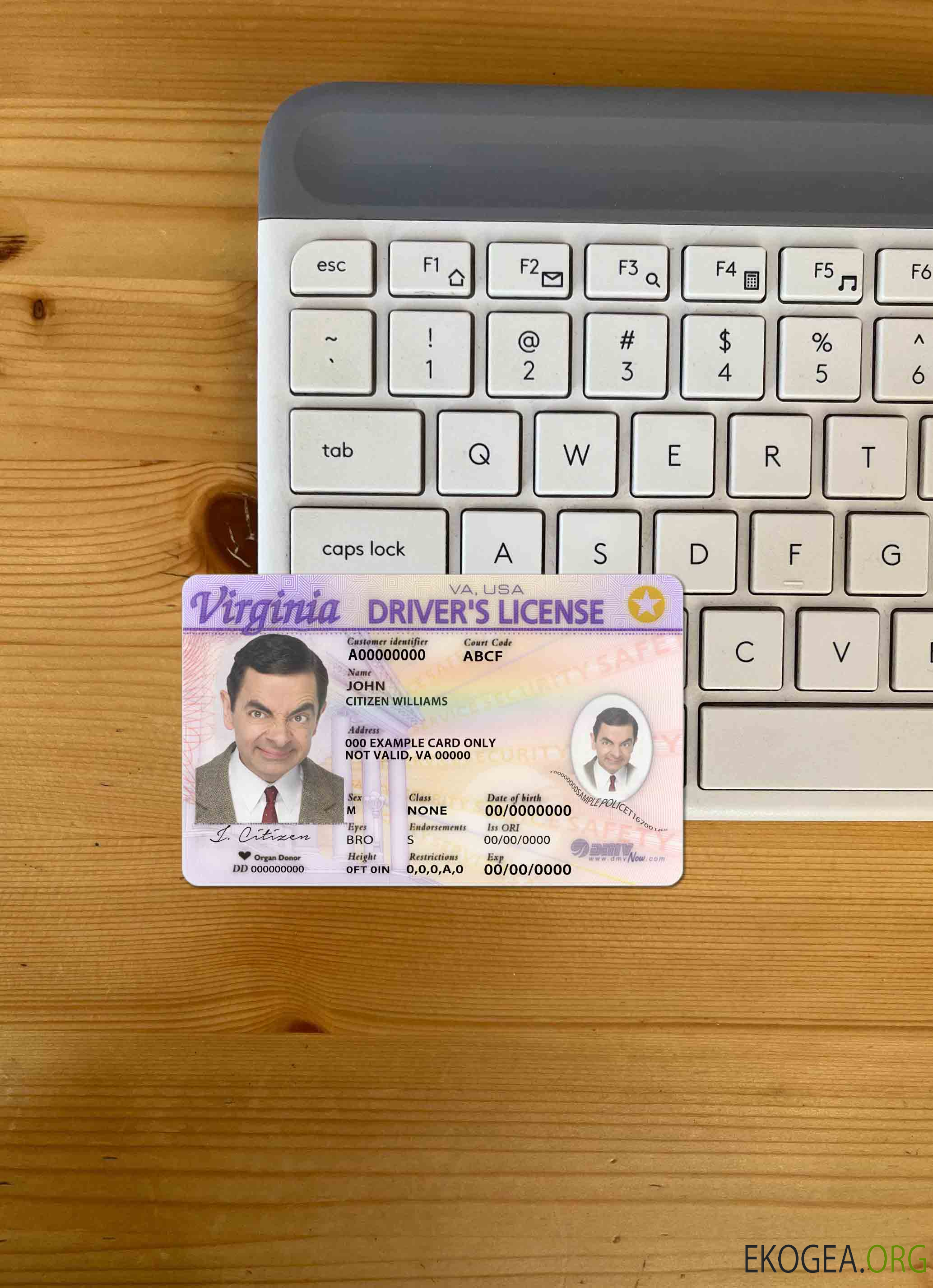 USA Virginia DL photolook AVANT